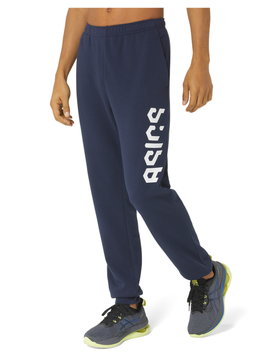 ASICS HEX GRAPHIC FRENCH TERRY PANTS