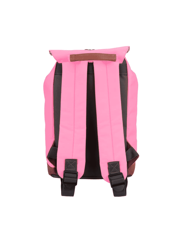 ABBEY CAMP BACKPACK DAILY SATCHEL