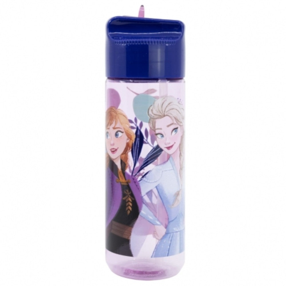 Stor, Large Ecozen Hydro Bottle 540ml Frozen Trust The Journey