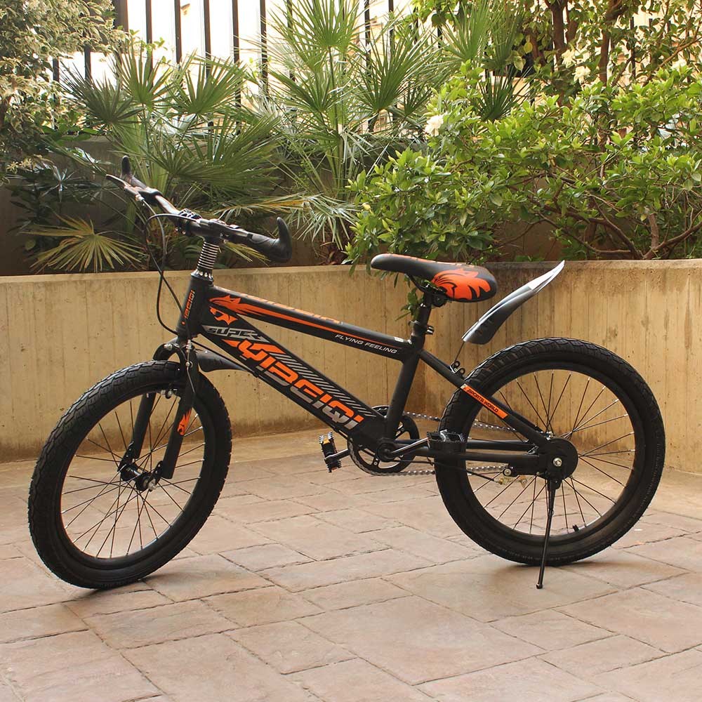 Cool Gift, Children's Bicycle, 20 Inches, Available in Different Colors