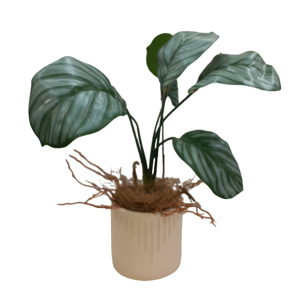 Cool Gift, Artificial Plants Potted #213-31