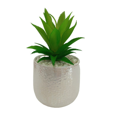 Cool Gift, Artificial Plants Potted #213-46