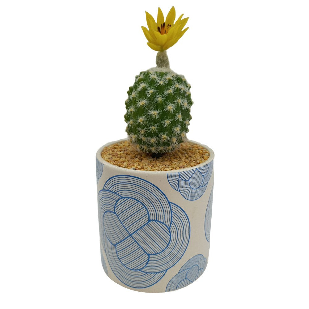 Cool Gift, Artificial Plants Potted #213-53