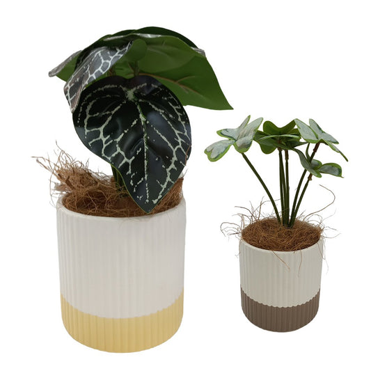 Cool Gift, Artificial Plants Potted #556