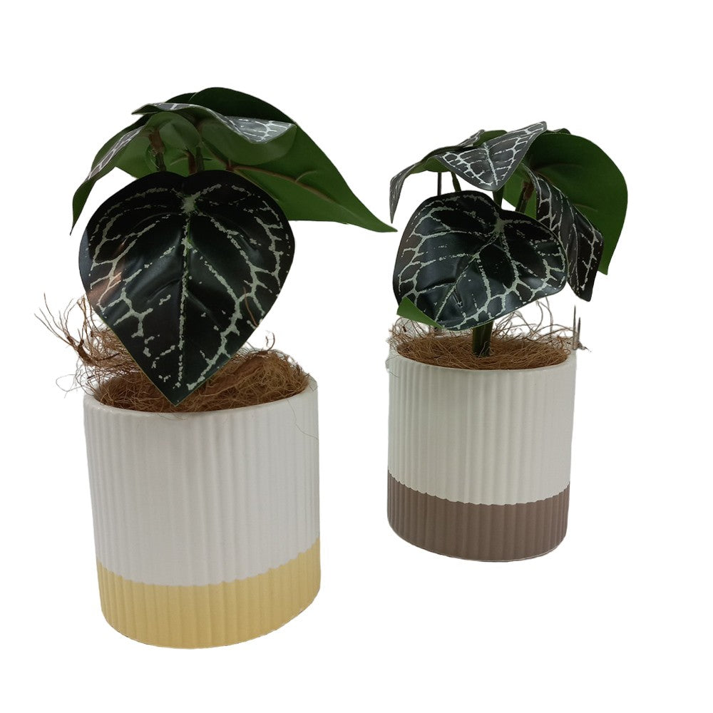 Cool Gift, Artificial Plants Potted #556