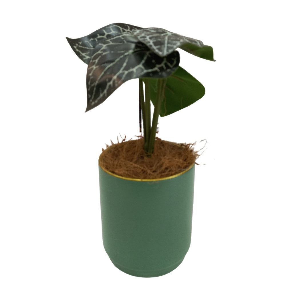 Cool Gift, Artificial Plants Potted #557