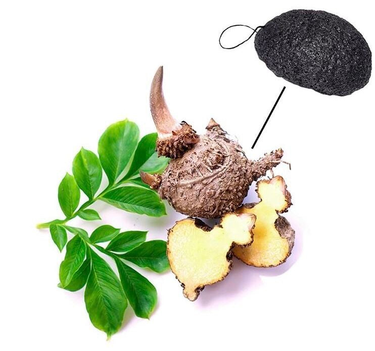 InVitamin, Facial Konjac Sponge, 140 gr