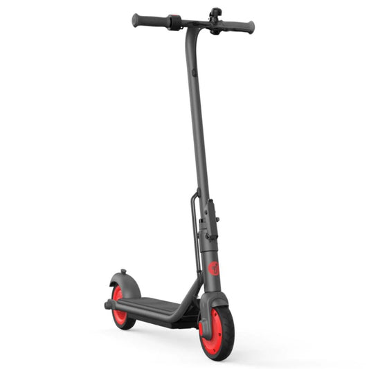 Segway, Zing C20