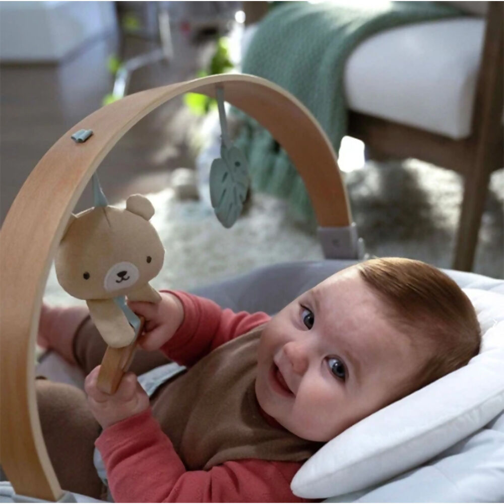 Baby Einstein Comfort 2 Go Portable Swing, 10845