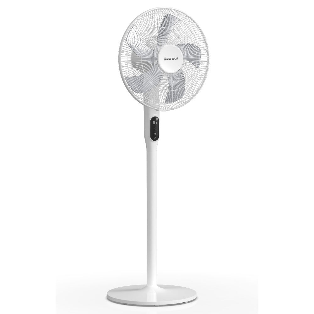 Sensus, Fan