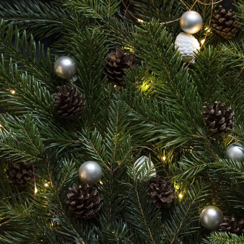 Out Of The Blue, Christmas Wire Light Chain Copper With 96 Warm White Led & Timer.