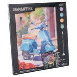 Diamantiny Quadro Su Tela Assortimento 1