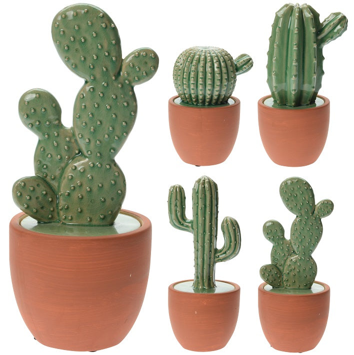 Itemz, Decorative Cactus In Pottery Planter 18 - 27 Cm