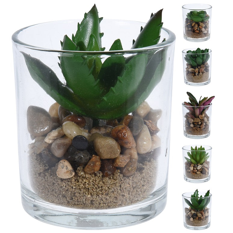 Itemz, Green Plant In Round Glass Pot 10Cm