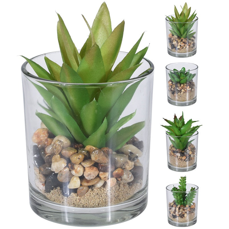 Itemz, Green Plant In Round Glass Pot 13Cm