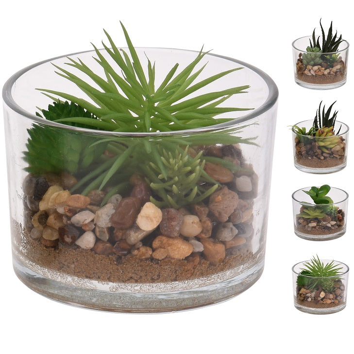 Itemz, Green Plant In Round Glass Pot 12Cm