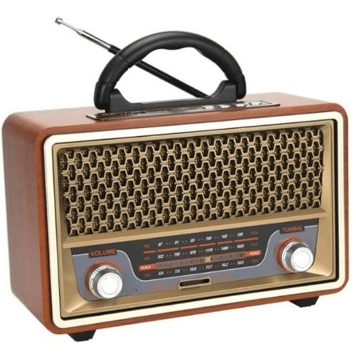 Multi Functional Portable Radio With Bluetooth M-157Bt