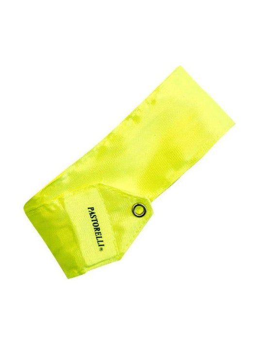 PASTORELLI MONOCHROME 5 M RIBBON  -  FLUORESCENT YELLOW