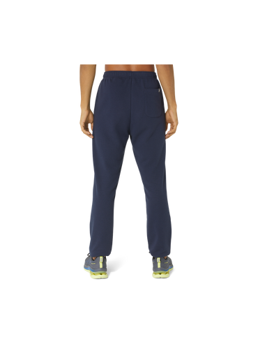 ASICS HEX GRAPHIC FRENCH TERRY PANTS