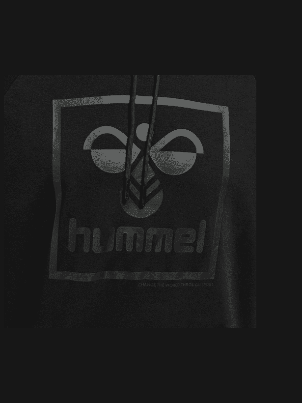 HUMMEL HMLISAM 2.0 HOODIE