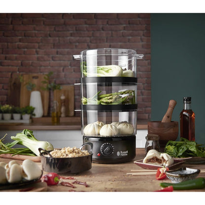 Russell Hobbs, Compact steamer