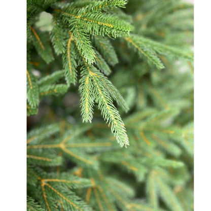 Christmas EverGreen Tree - 180cm 25252