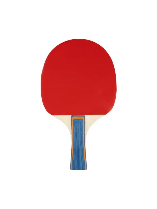 AVENTO TABLE TENNIS BAT 2-STAR