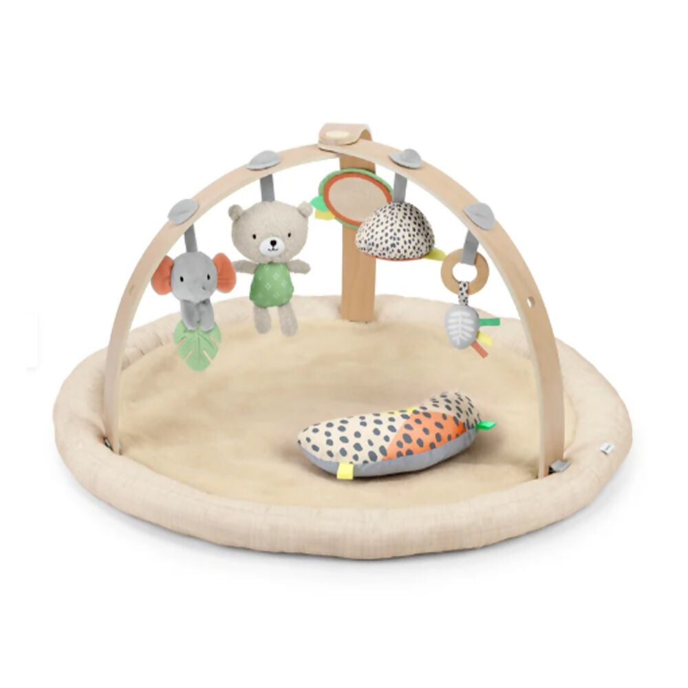 Baby Einstein Every Season Lambswool Activity Gym, 16969-000-000-02-R