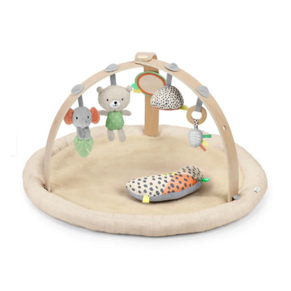 Baby Einstein Every Season Lambswool Activity Gym, 16969-000-000-02-R