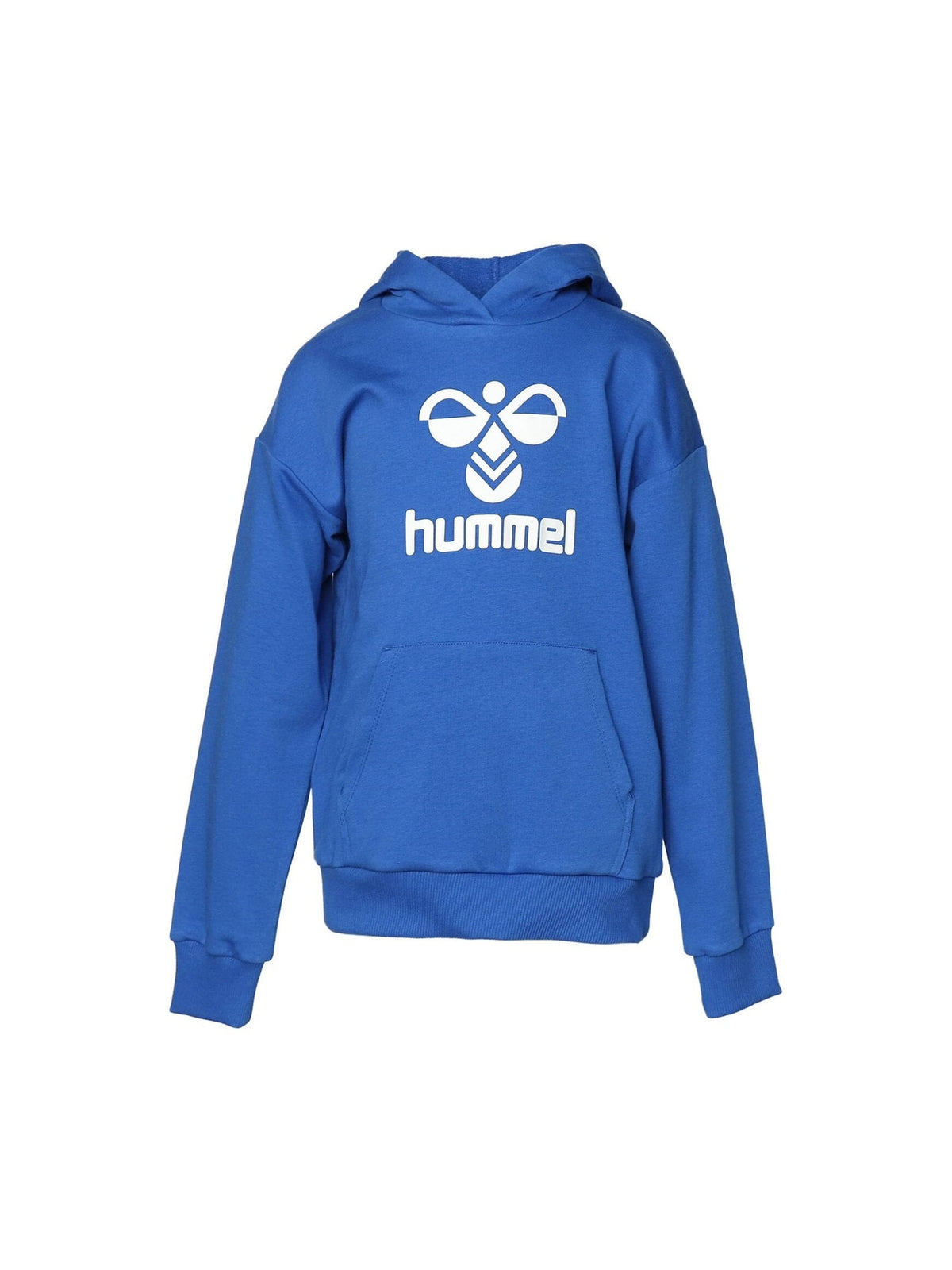 HUMMEL HMLAHRI HOODIE