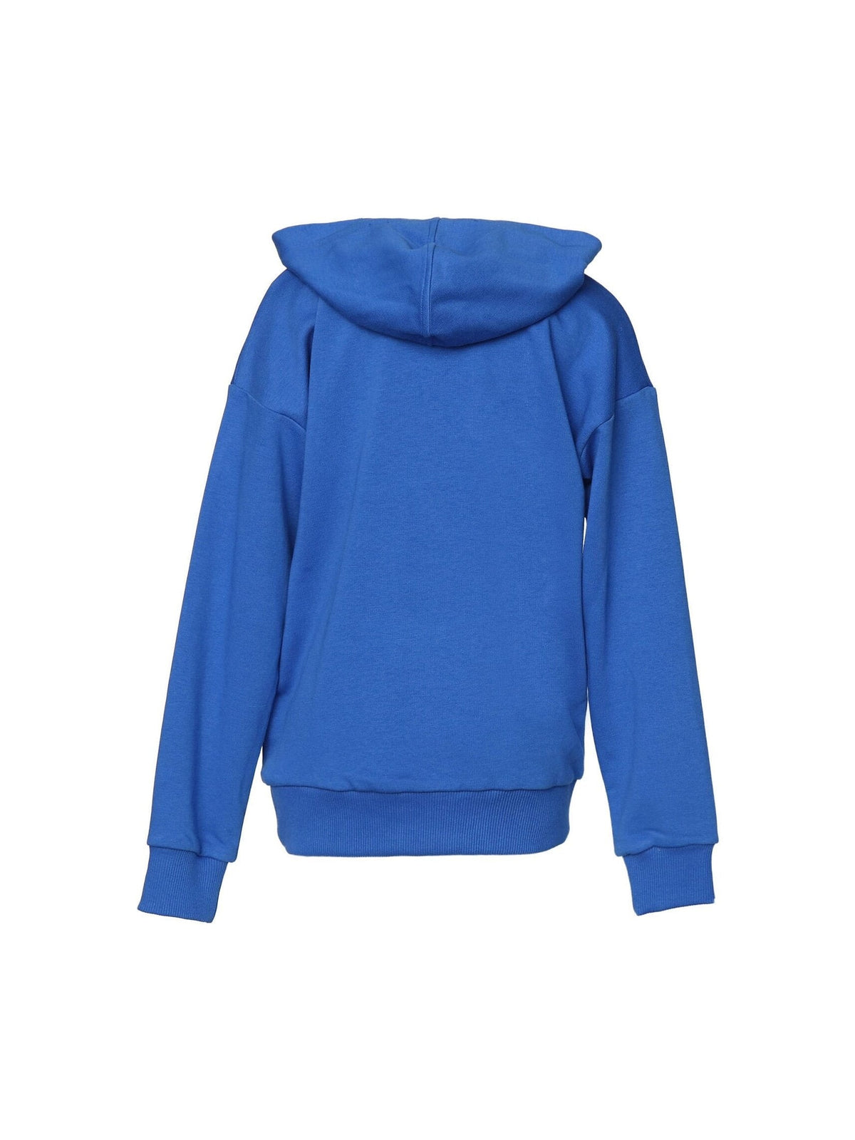 HUMMEL HMLAHRI HOODIE