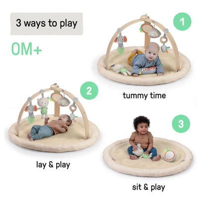 Baby Einstein Every Season Lambswool Activity Gym, 16969-000-000-02-R