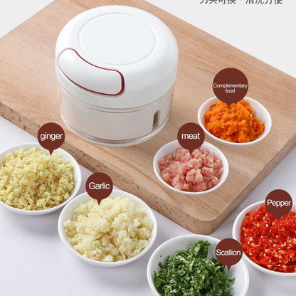 Cool Gift, Mini Food Chopper