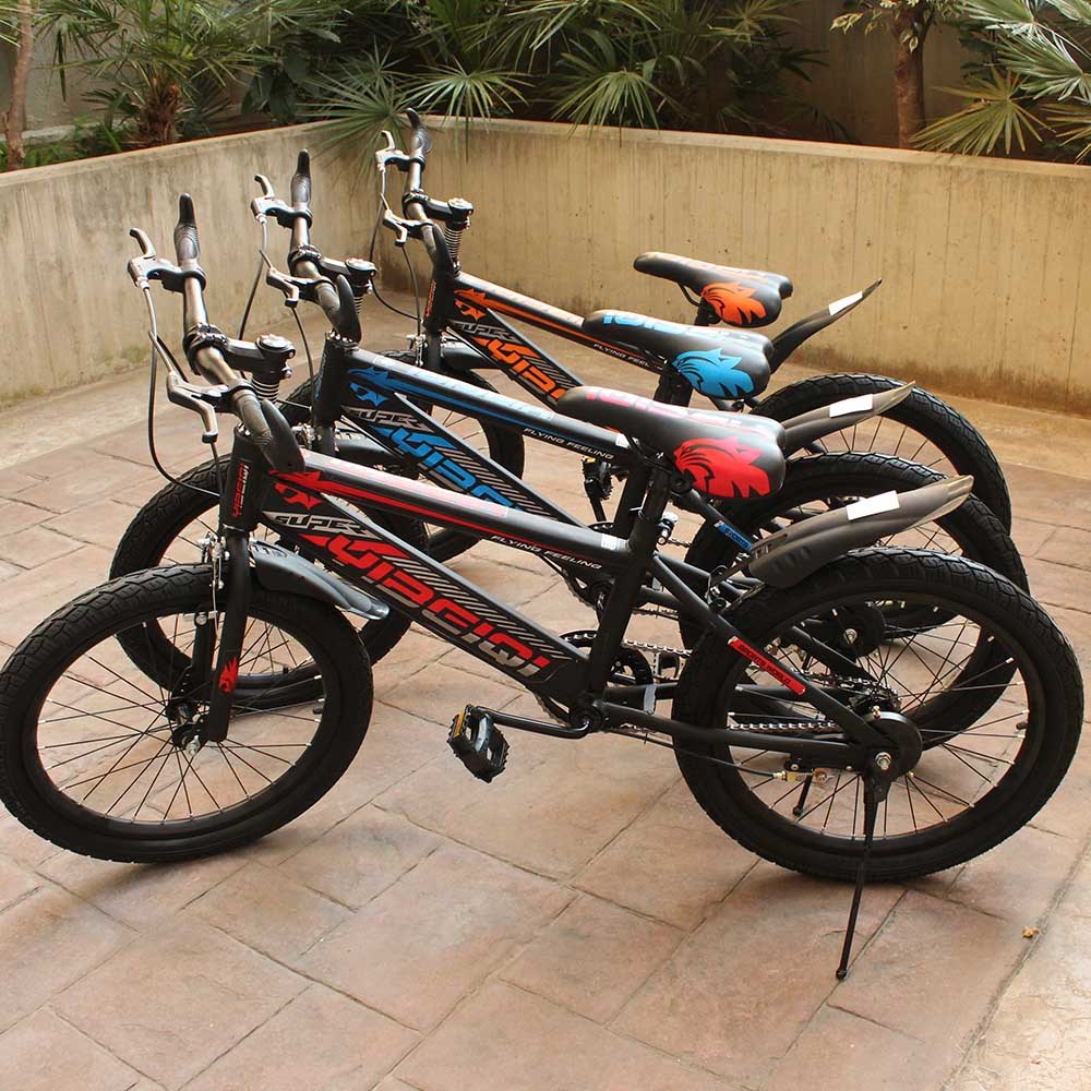Cool Gift, Children's Bicycle, 20 Inches, Available in Different Colors