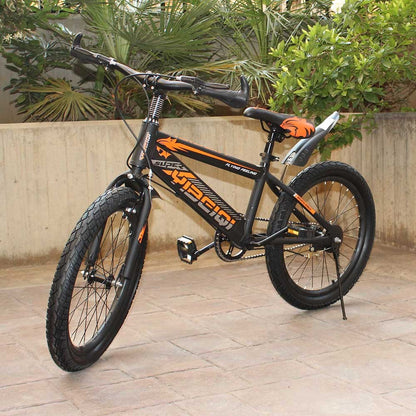 Cool Gift, Children's Bicycle, 20 Inches, Available in Different Colors