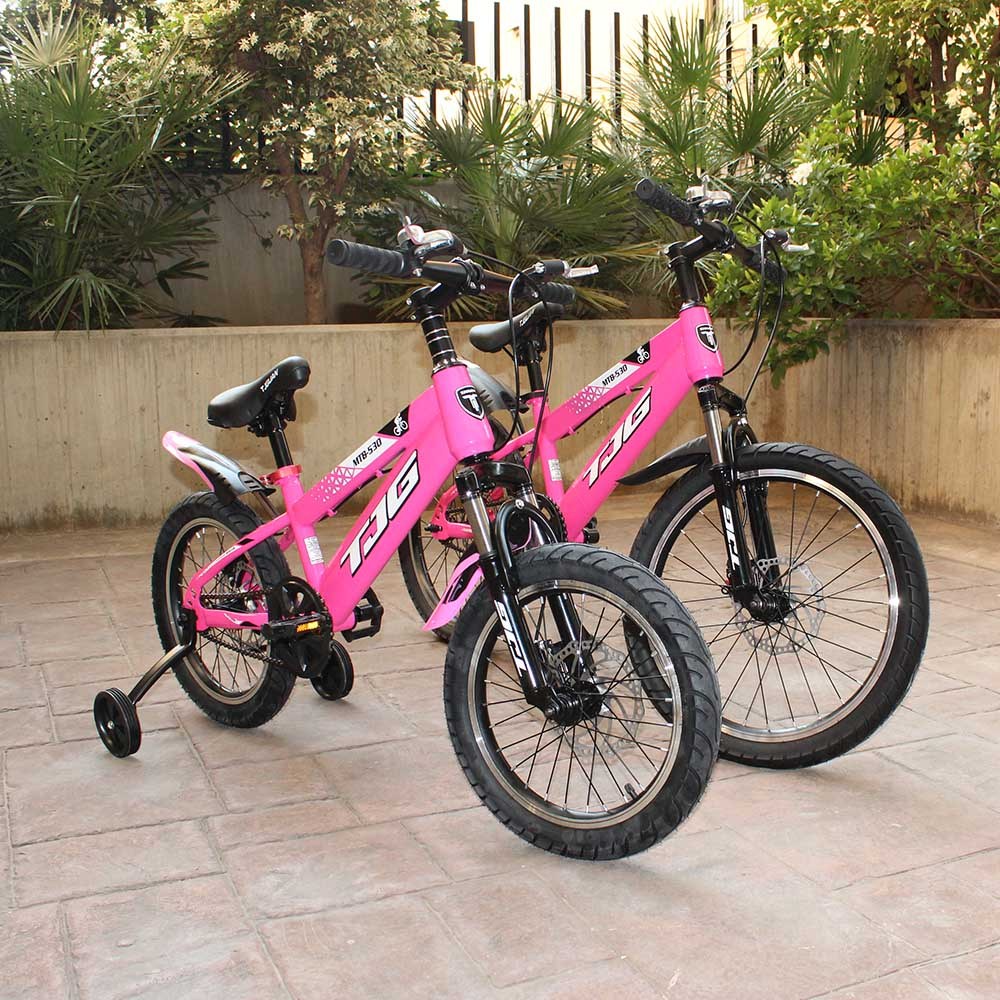 Cool Gift, Children's Pink Bicycle, Available in Different Sizes