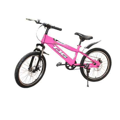 Cool Gift, Children's Pink Bicycle, Available in Different Sizes