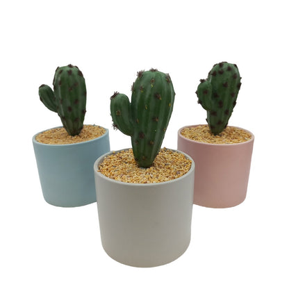 Cool Gift, Artificial Plants Potted #0213-26
