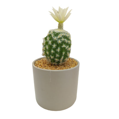 Cool Gift, Artificial Plants Potted #0213-26