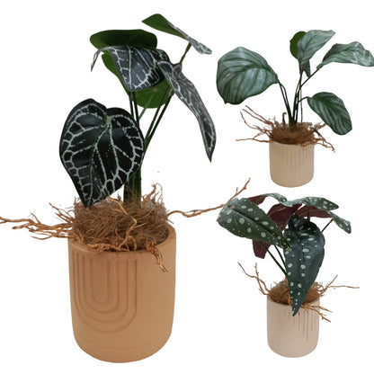 Cool Gift, Artificial Plants Potted #213-31