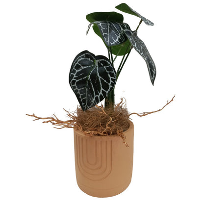 Cool Gift, Artificial Plants Potted #213-31