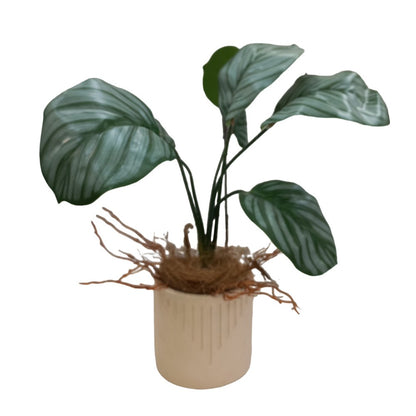 Cool Gift, Artificial Plants Potted #213-31