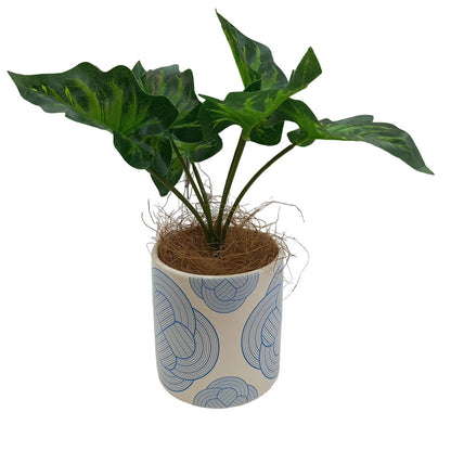 Cool Gift, Artificial Plants Potted #0213-52