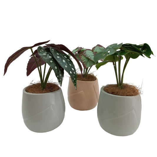 Cool Gift, Artificial Plants Potted #553