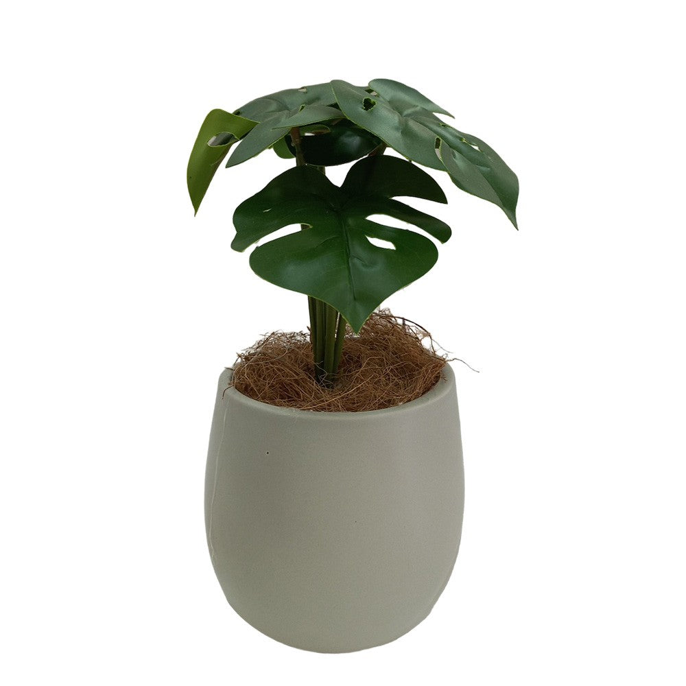 Cool Gift, Artificial Plants Potted #553
