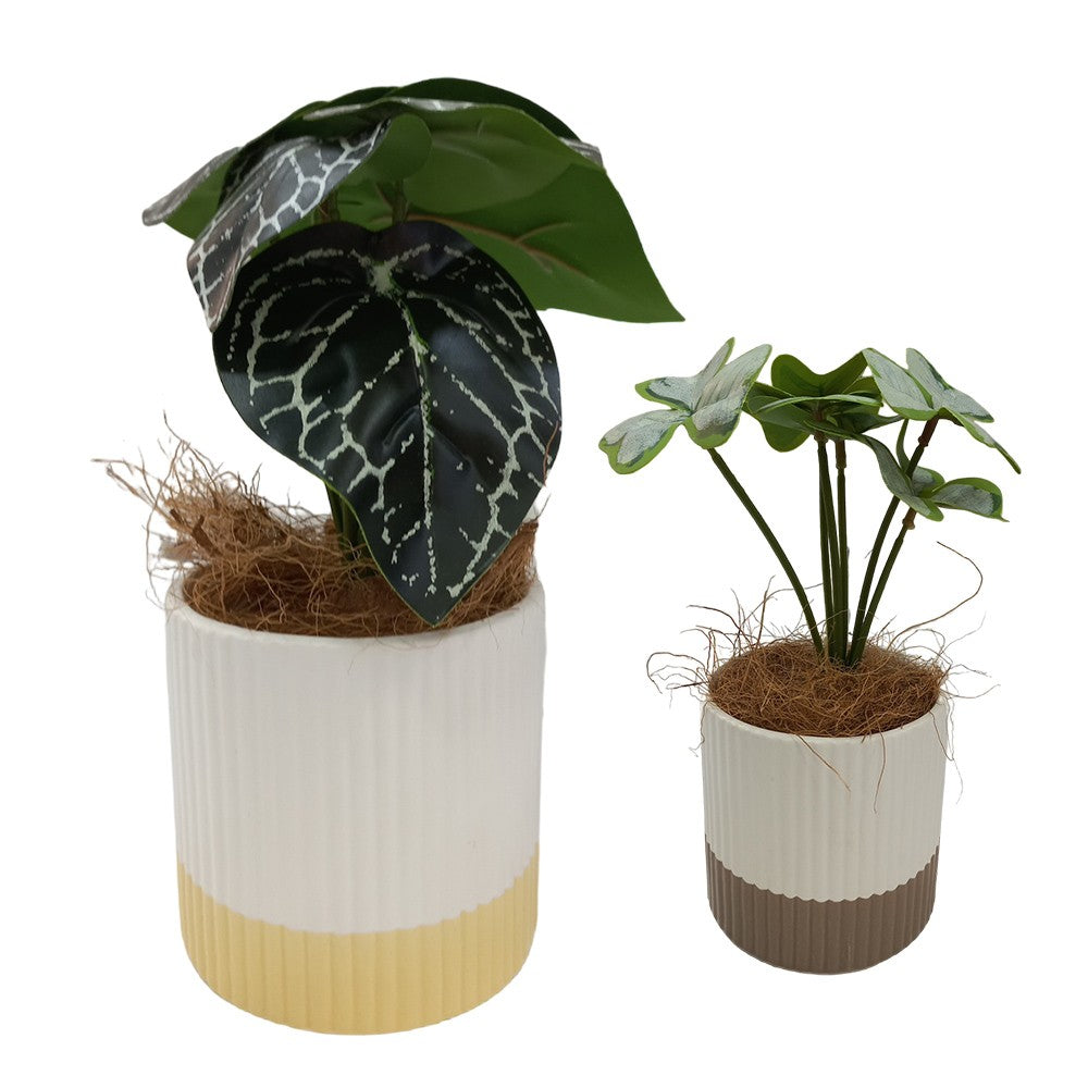 Cool Gift, Artificial Plants Potted #556
