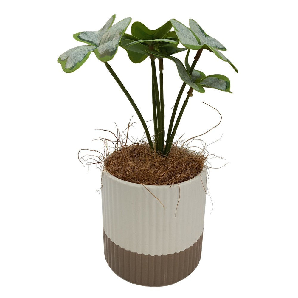 Cool Gift, Artificial Plants Potted #556