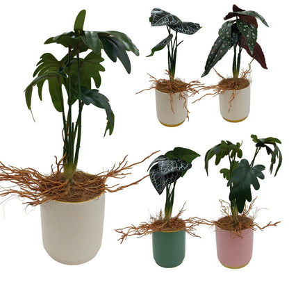 Cool Gift, Artificial Plants Potted #558