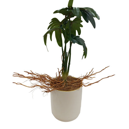 Cool Gift, Artificial Plants Potted #558