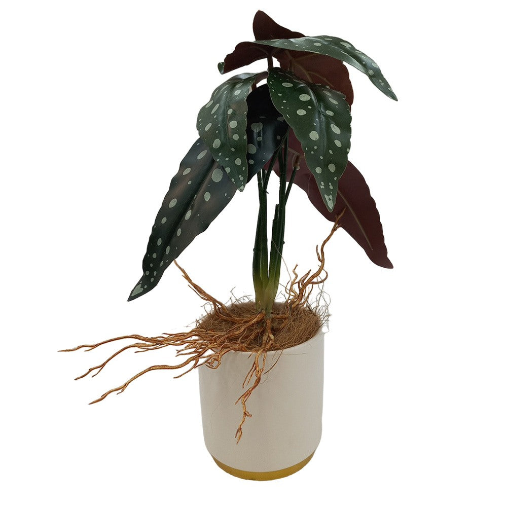 Cool Gift, Artificial Plants Potted #558